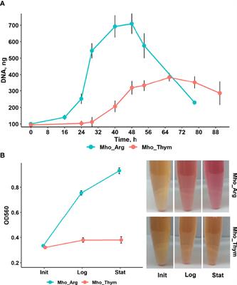 Molecular Basis of the Slow Growth of Mycoplasma hominis on Different Energy Sources